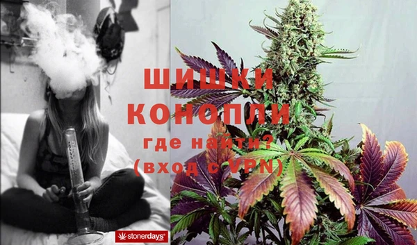 бошки Богородицк