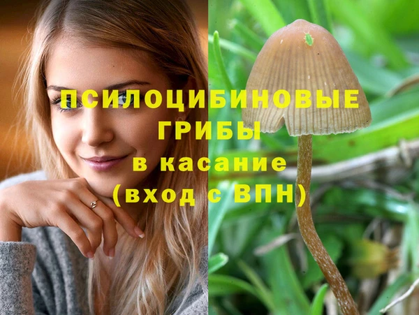 COCAINE Богородск