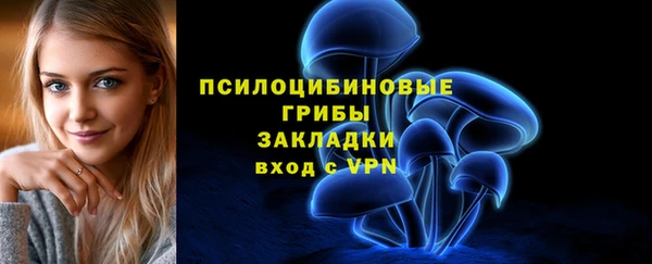 COCAINE Богородск