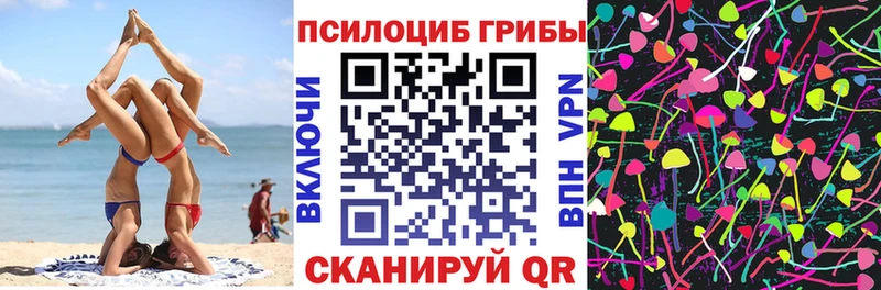 где можно купить   Ставрополь  Псилоцибиновые грибы Cubensis 